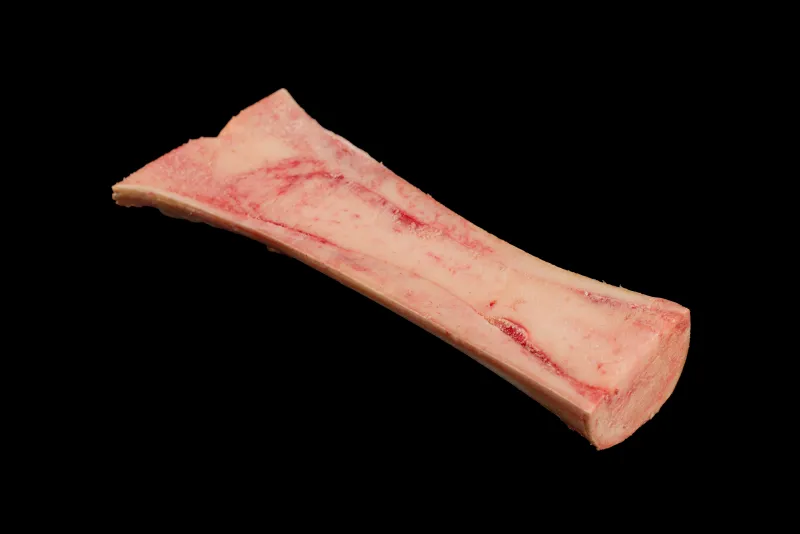 Kości rurkowe / szpikowe